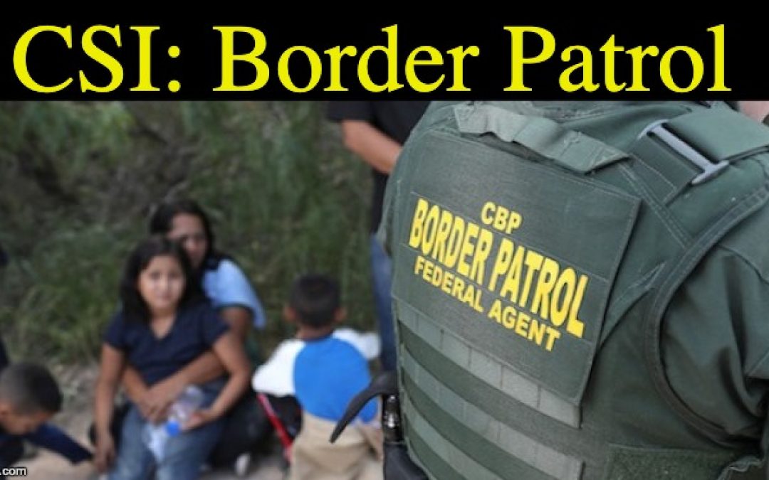 DNA Tests Reveal 30% Of Suspected Fraudulent Migrant Families Were Unrelated