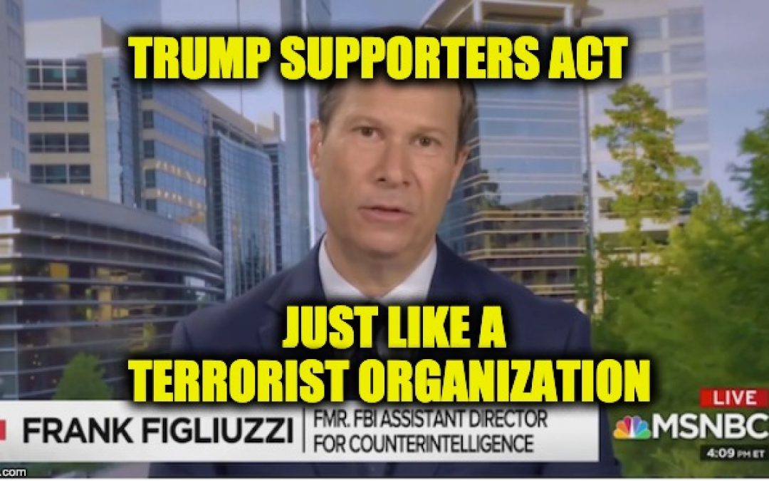Former FBI Special Agent Likens Trump Supporters to Terrorists