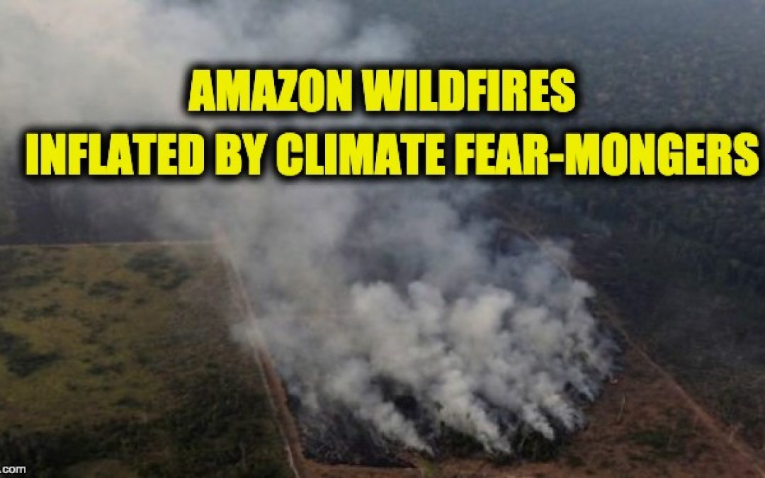 Lies, Damn Lies, And Rainforest Fear-Mongering