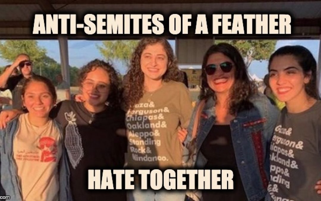 Rashida Tlaib Is All Smiles With PYM, A Group That Glorifies Terrorism