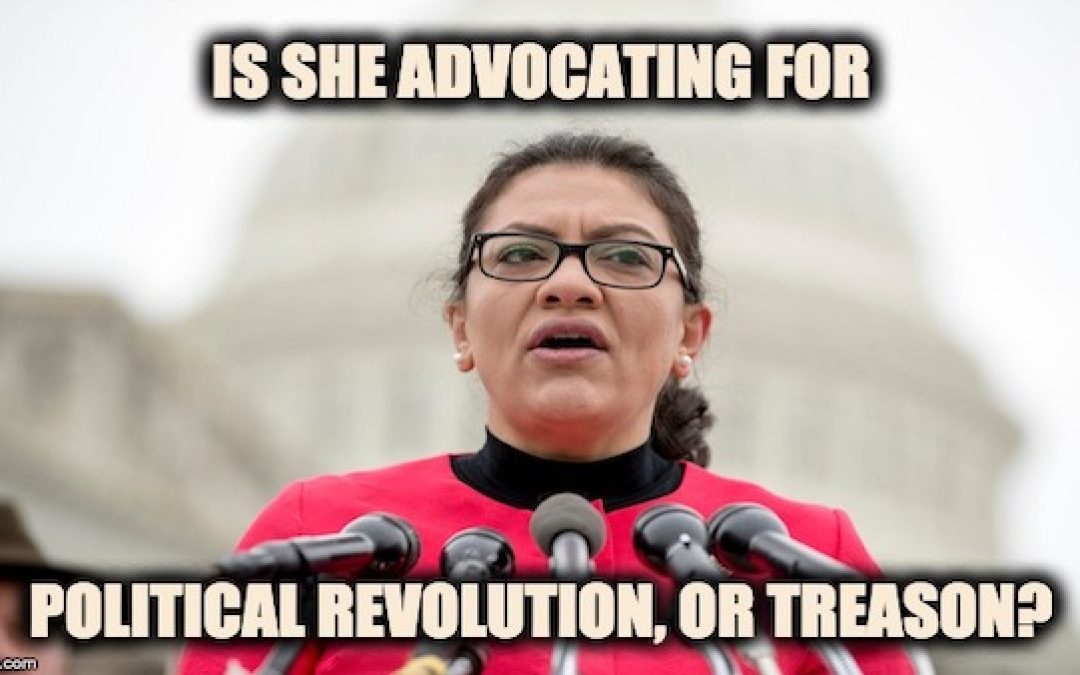 Rashida Tlaib Calls For ‘Political Revolution,’ Transformation Of Political System