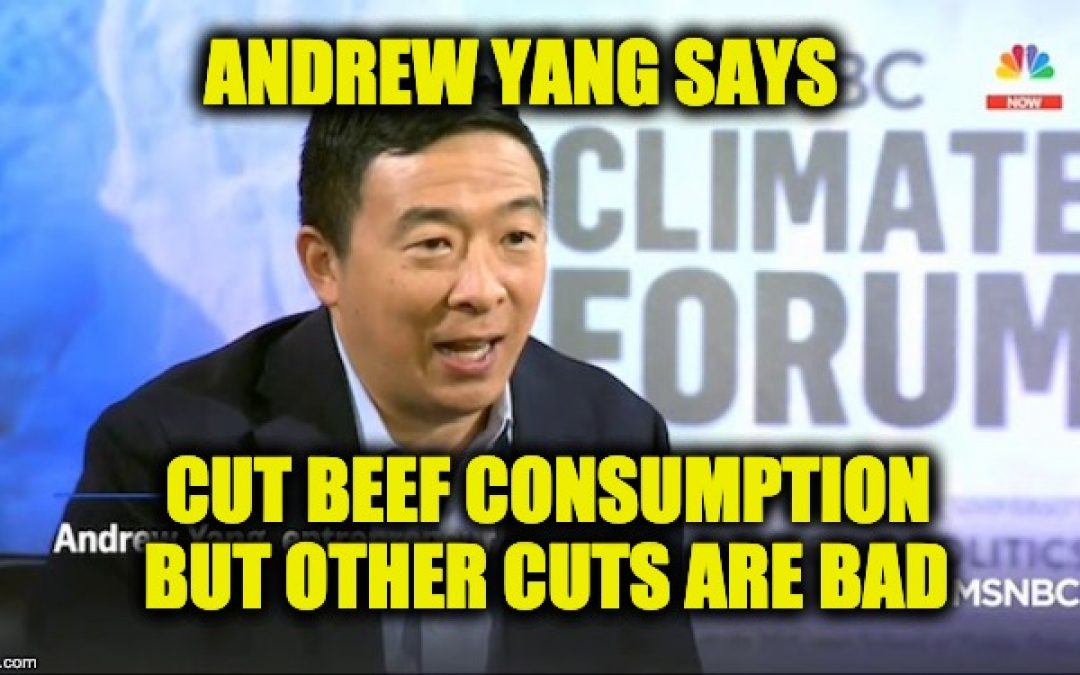 Andrew Yang: I’ll Cut Beef Consumption By Making It More Expensive — Video