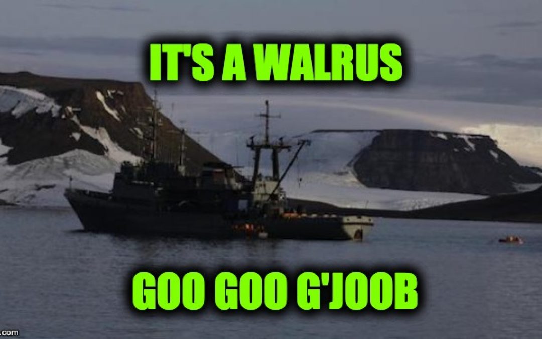 LMAO: Russian Ship Gets Sunk By Angry Walrus… No This Isn’t Satire