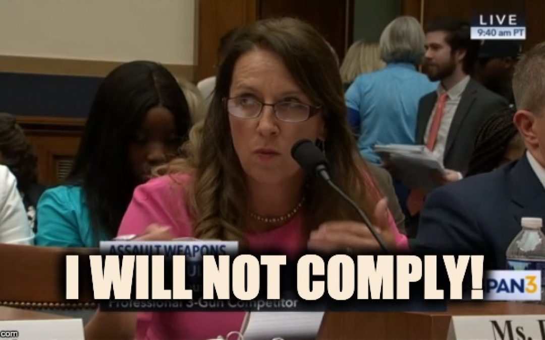 ‘I Will Not Comply,’ Pro-Second Amendment Witness Tells House Judiciary