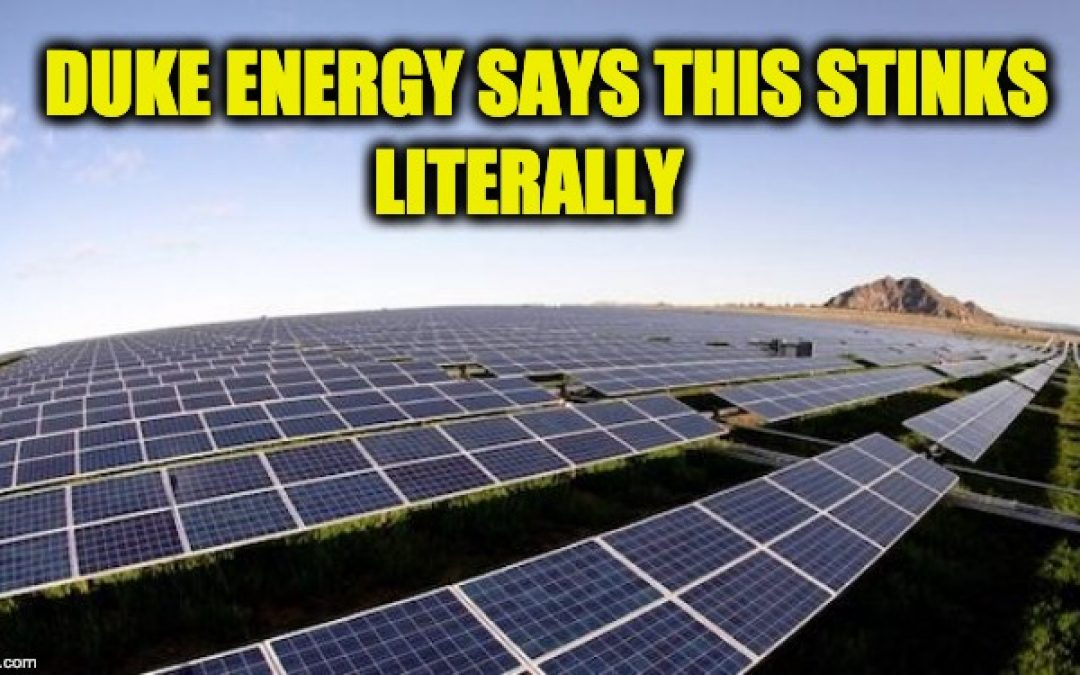 Energy Company Says Their Solar Power Program Is Increasing NOx Pollution