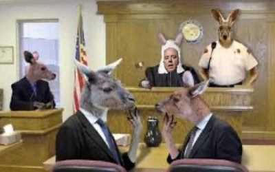 Schiff's Kangaroo Court