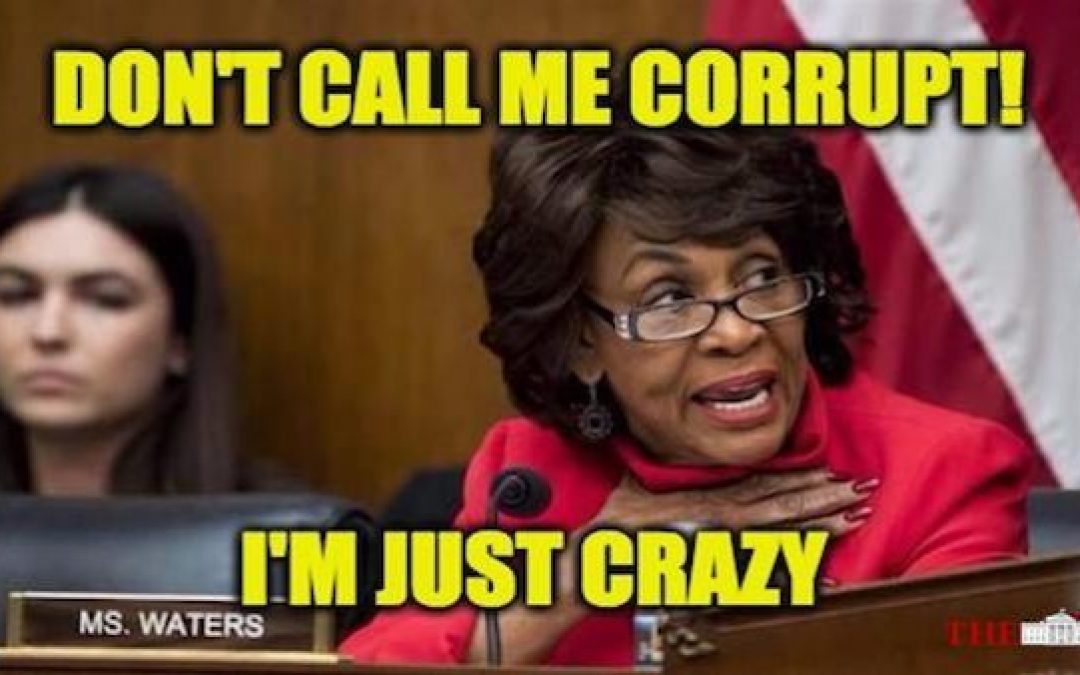 Corrupt Coward Maxine Waters Calls Trump Supporters Unpatriotic and ‘Spineless’