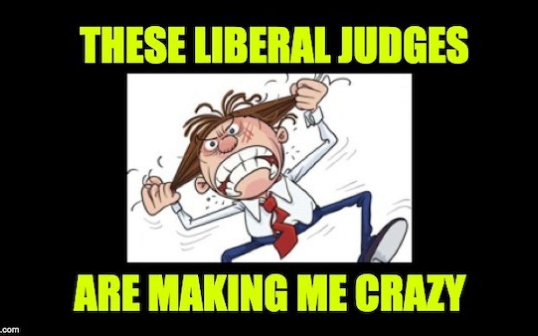 This Judge Is NUTS-Rules Trump Admin Must Provide Mental Health Services To Illegals