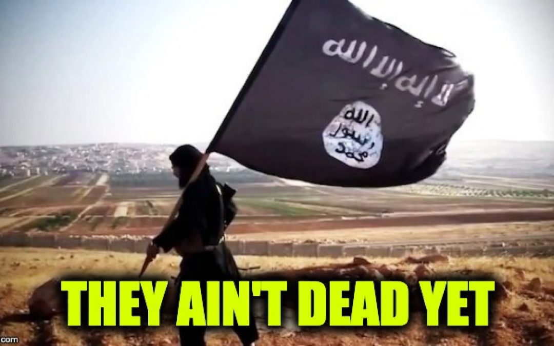 ISIS Tells Lone Wolves: Pose As Reporters To Assassinate World Leaders