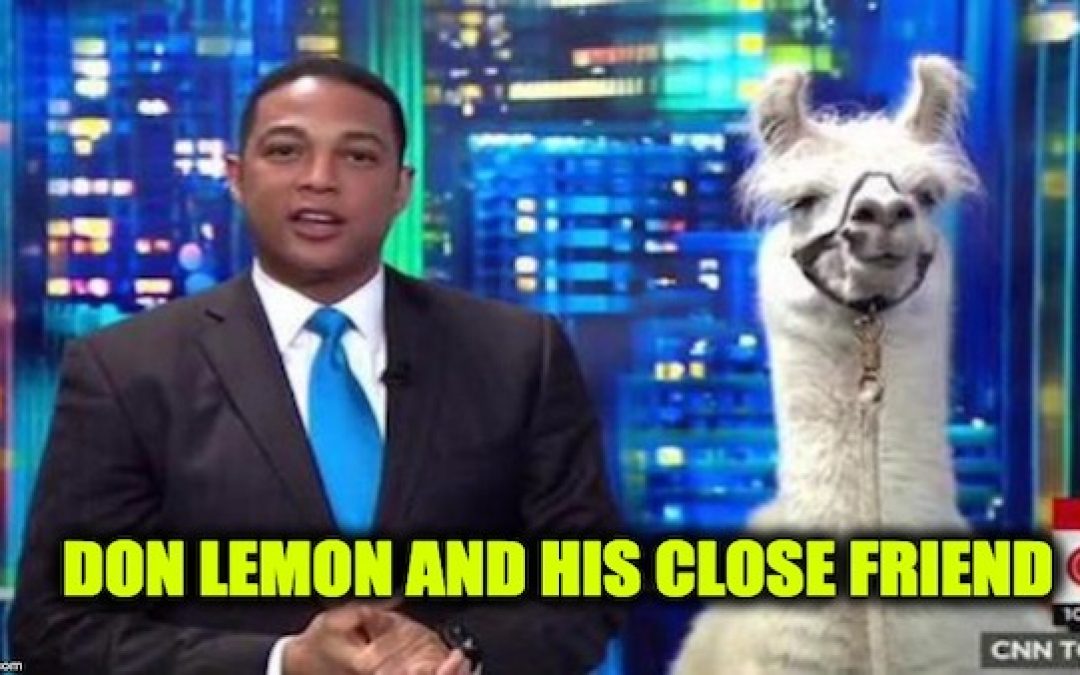 CNN’s Don Lemon Insists Trump Supporters Are Mental
