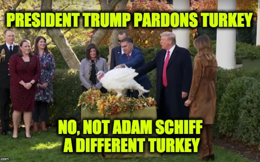 Trump Rips Congressional Turkey Adam Schiff While Pardoning Thanksgiving Turkeys