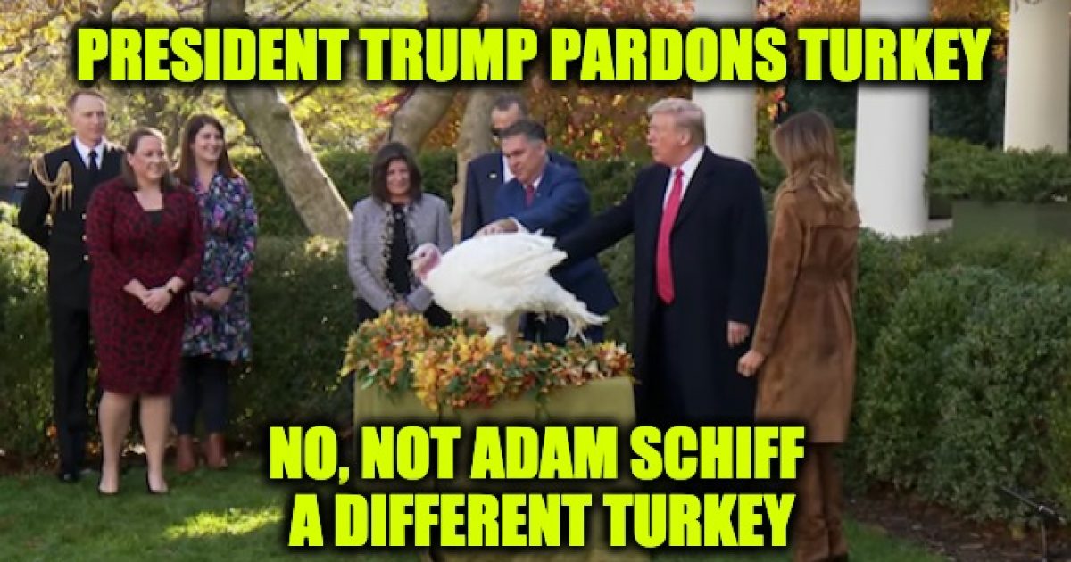 Trump pardoned the turkeys