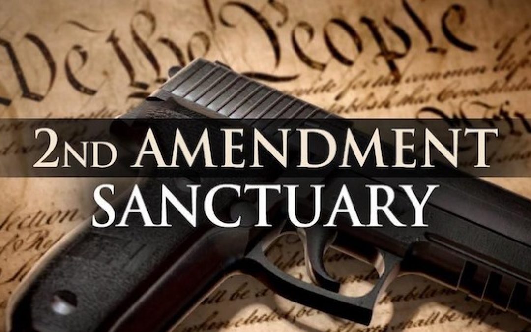 The Accelerating Growth Of The Second Amendment Sanctuary Movement