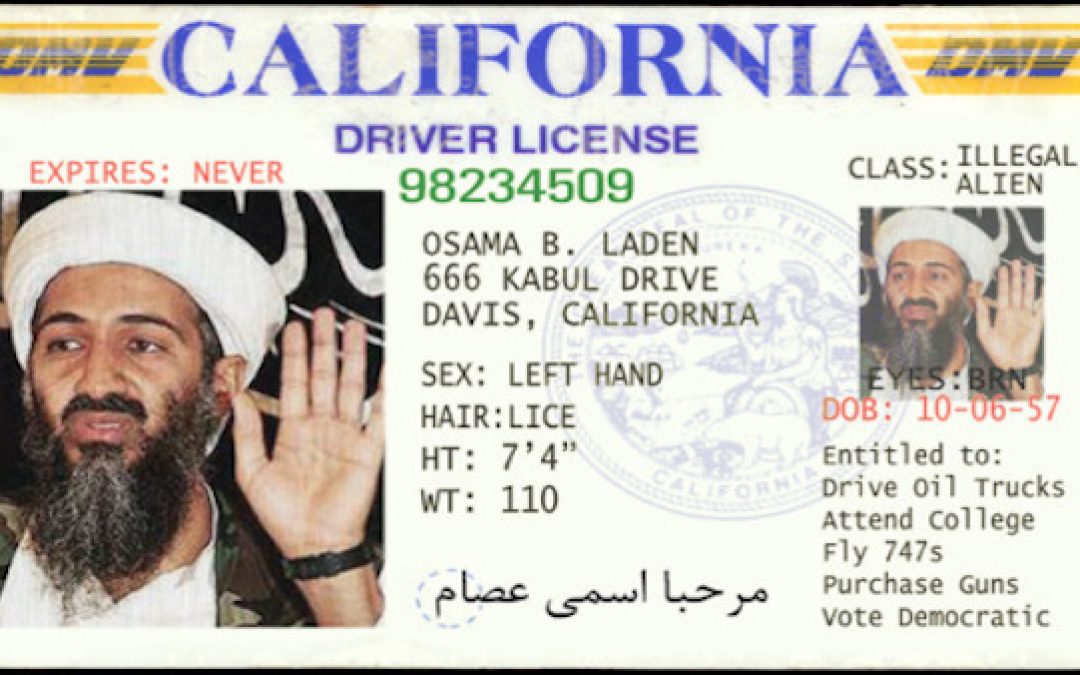 Homeland Security Investigating Liberal States for Giving Driver’s Licenses to Illegals