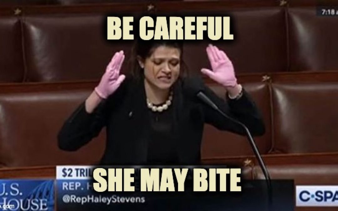 Dem. Rep. Haley Stevens Gets Frothing From The Mouth Crazy On House Floor