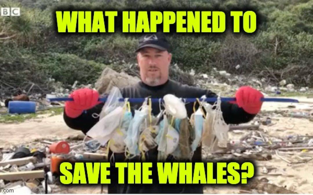 The Face Masks You’re Wearing Could Be Killing Whales (Video)