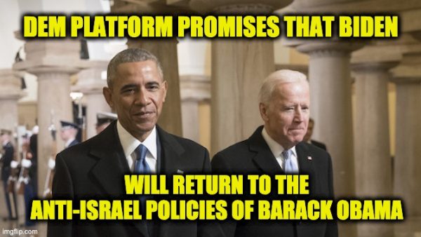 2020 DNC platform Anti-Israel