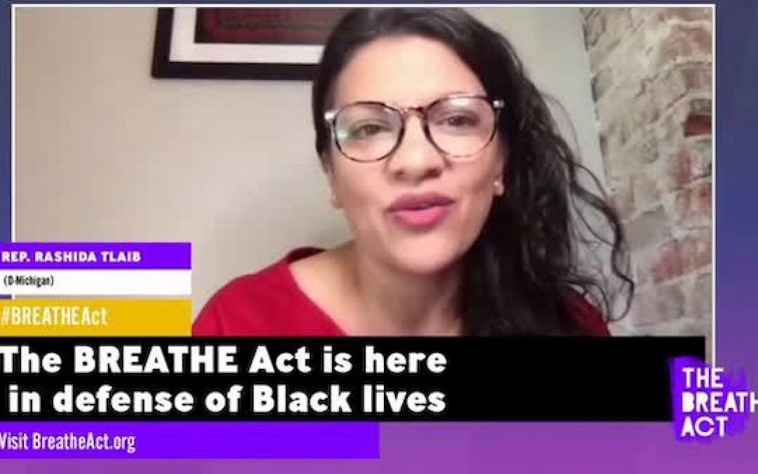 Tlaib, Pressley Introduce Breathe Act, A Bill To Abandon All Law Enforcement And Prisons