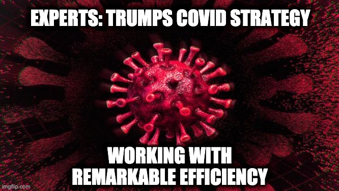 Trump’s COVID strategy working
