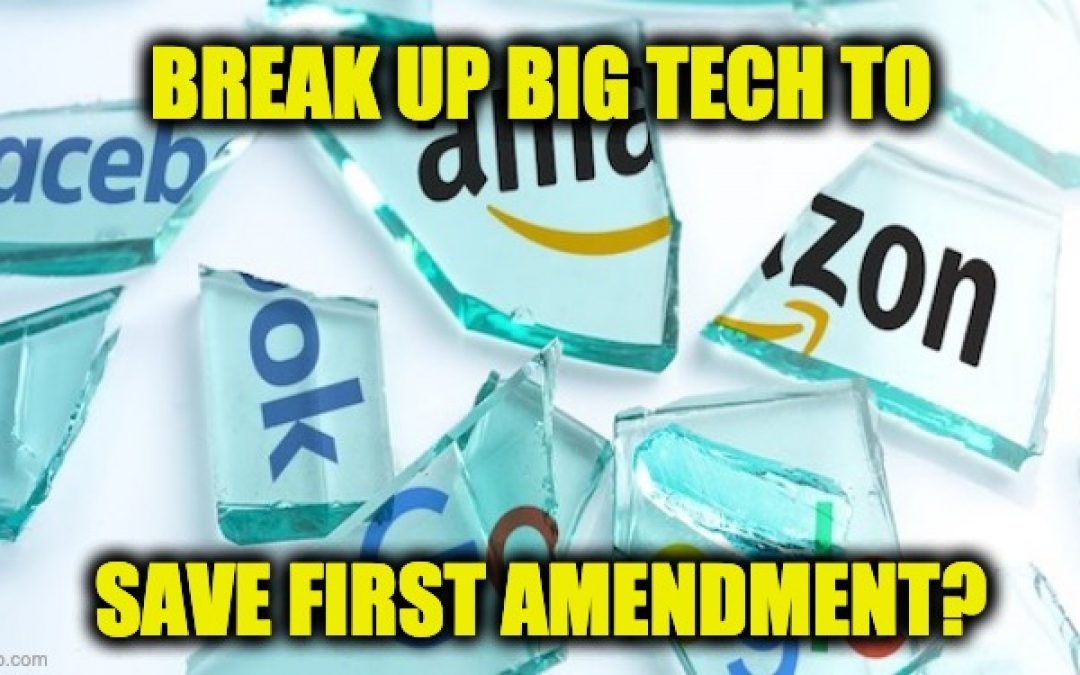 76% Of Voters Believe Big Tech Has Too Much Influence On Political News