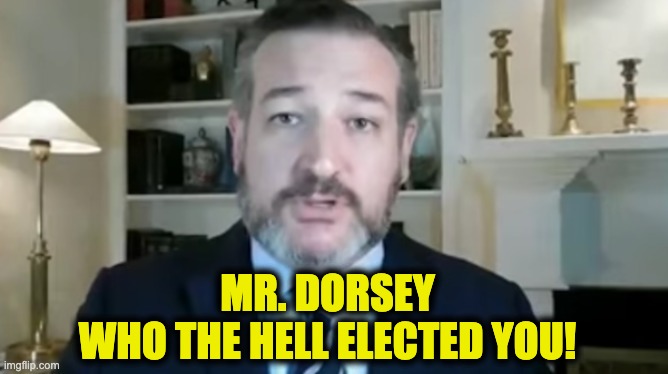 Ted Cruz eviscerates Dorsey