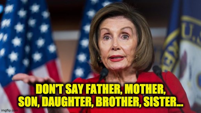 Pelosi ban use gendered words