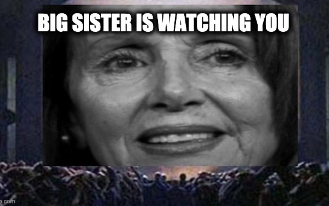 It’s 1984 On Steroids! Big Banks, Corps, Stop Donations, House Dems Want To Make MAGA Illegal