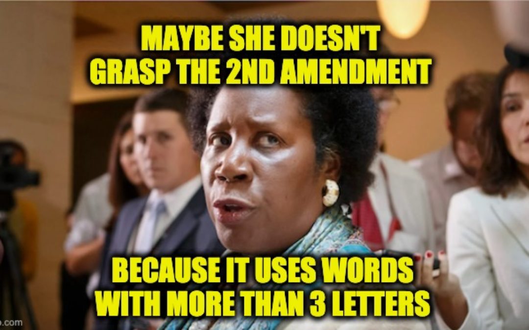 Jackson Lee’s Gun Control Bill Seeks Federal License And Psych Exams to Own Firearms