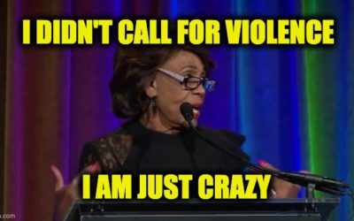 Maxine Waters violence