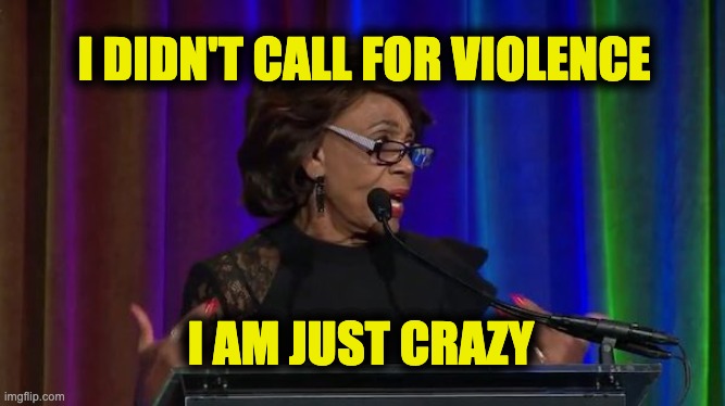 Maxine Waters violence