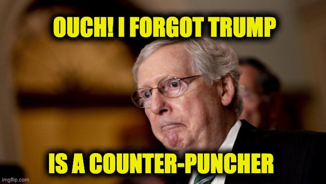 Trump eviscerates McConnell