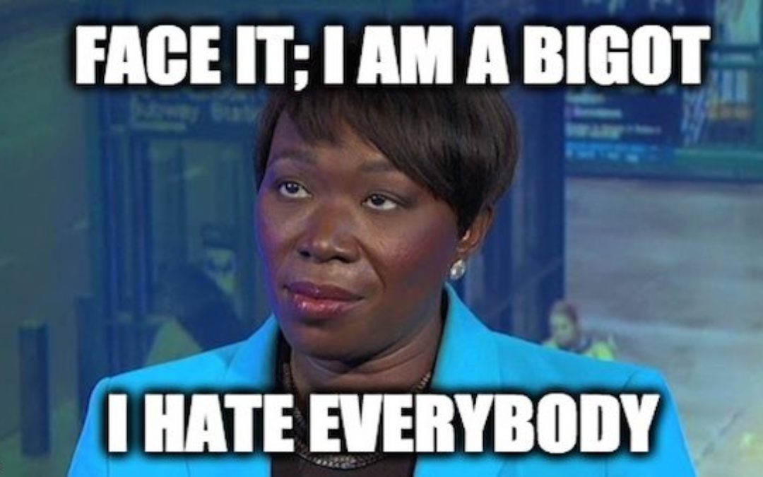Tim Scott Slams MSNBC’s Bigot Joy Reid And ‘Woke Supremacy’