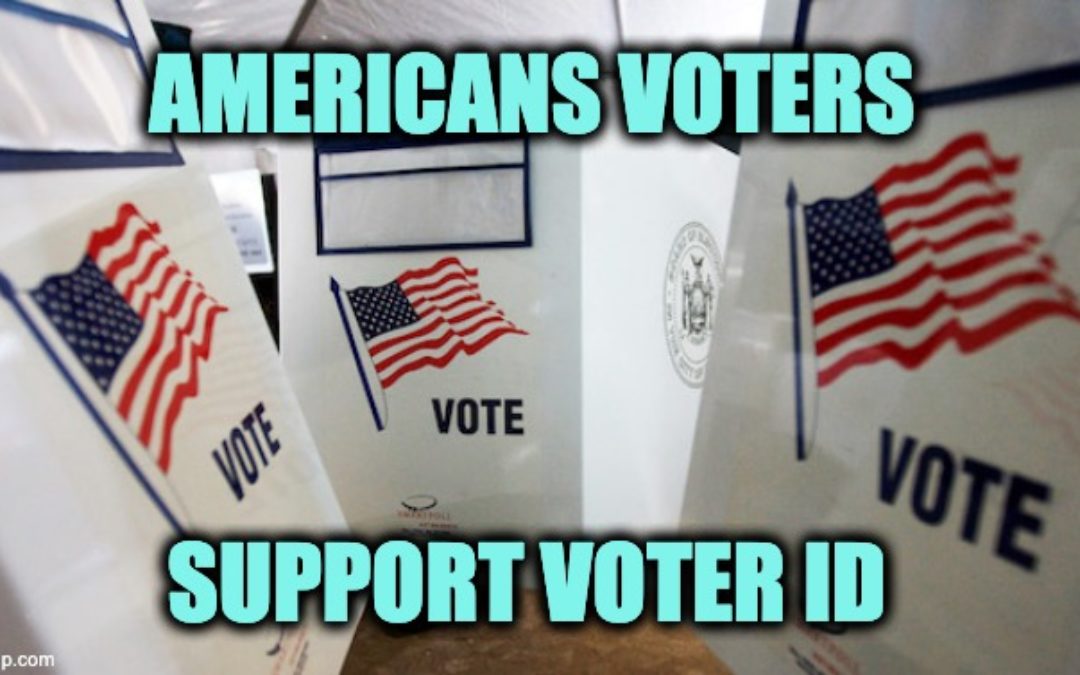 75% Of Likely Voters (Including Most Dems) Support Voter ID Laws