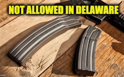 Delaware large capacity magazines