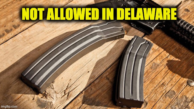 Delaware large capacity magazines