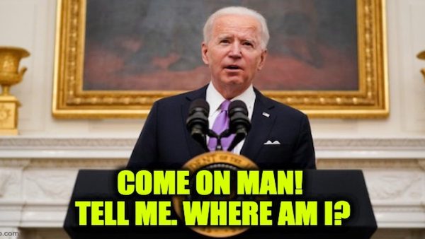Joe Biden shadow president