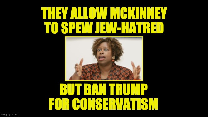 cynthia mckinney spew antisemitism