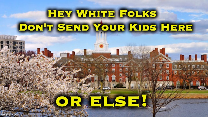 whites Ivy League schools