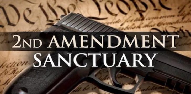 second amendment sanctuary laws