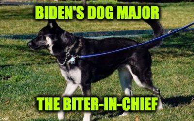Biden’s Dog Major Constantly Bit Secret Service Agents: Much More Than America Was Told