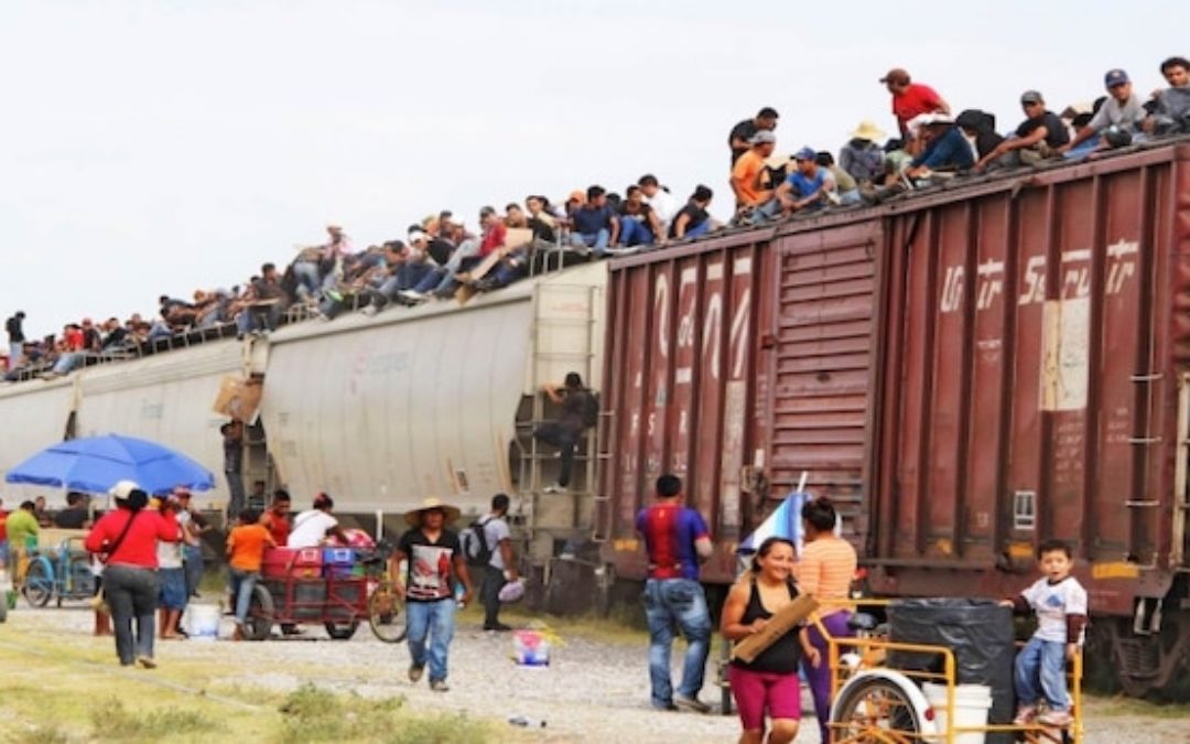 Is The Red Cross Promoting Illegal Immigration?