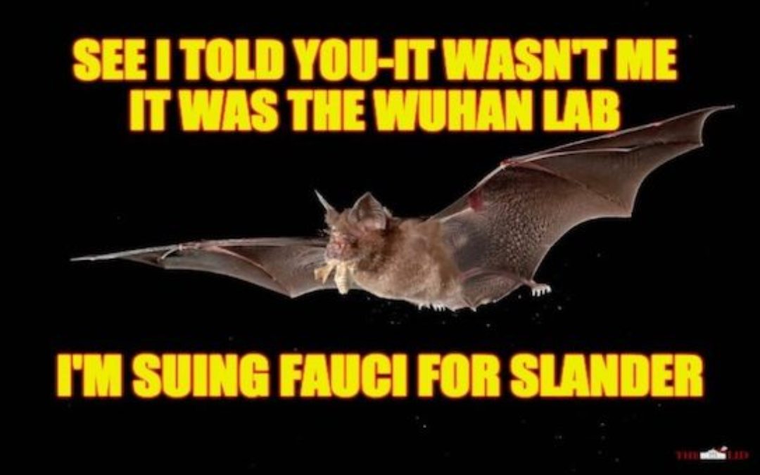 BOMBSHELL REPORT: Wuhan Scientists Planned To Release Genetically-Enhanced Coronaviruses Into Bats In 2018