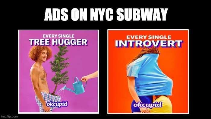 OkCupid ads on NYC subway
