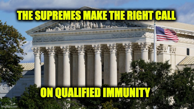 qualified immunity