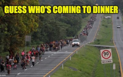 illegal alien caravan are sick