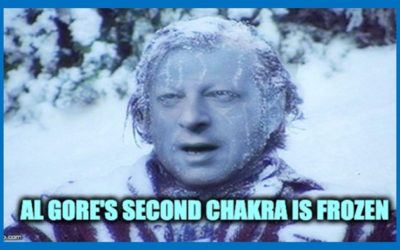 Al Gore Calling For Government Tracking And Surveillance To Combat Climate Change