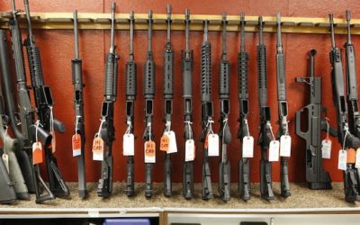 HR 6225: Firearms Dealers Once Again In The Crosshairs Of The Anti-Gun Crowd