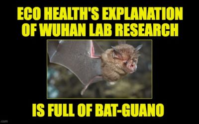 Biden Administration Gives  $4.67 Million Grant To Wuhan Lab Collaborator EcoHealth