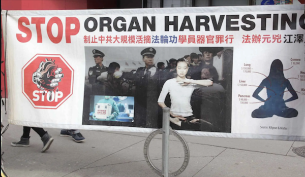 HEY DEMS: China Murders Prisoners For Organ Harvesting… Where Are Your ‘Sanctions’ Pronouncements?