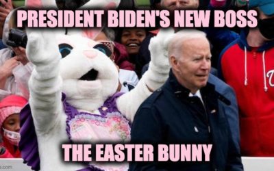 Joe Biden Says He’ll Run Again